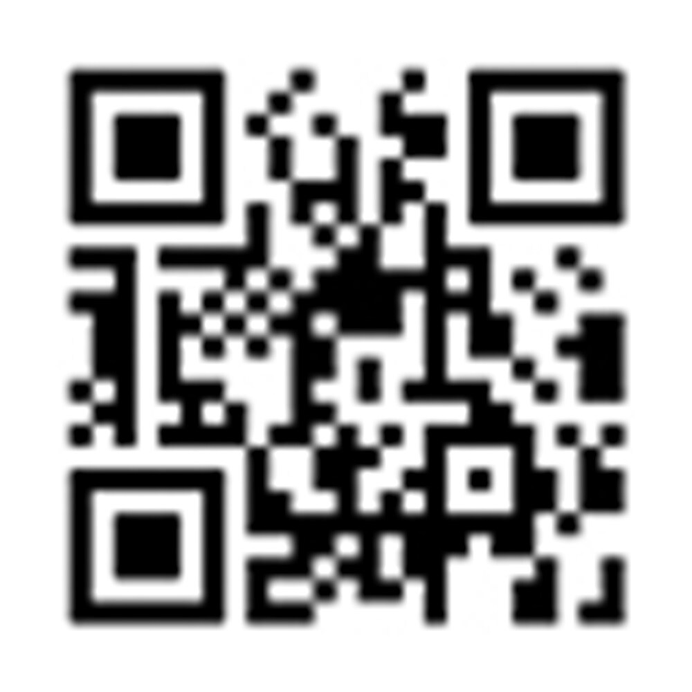 No Customization new whistleblower system