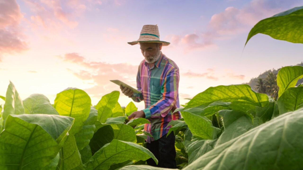 call-out-image-stay-ahead-of-the-curve