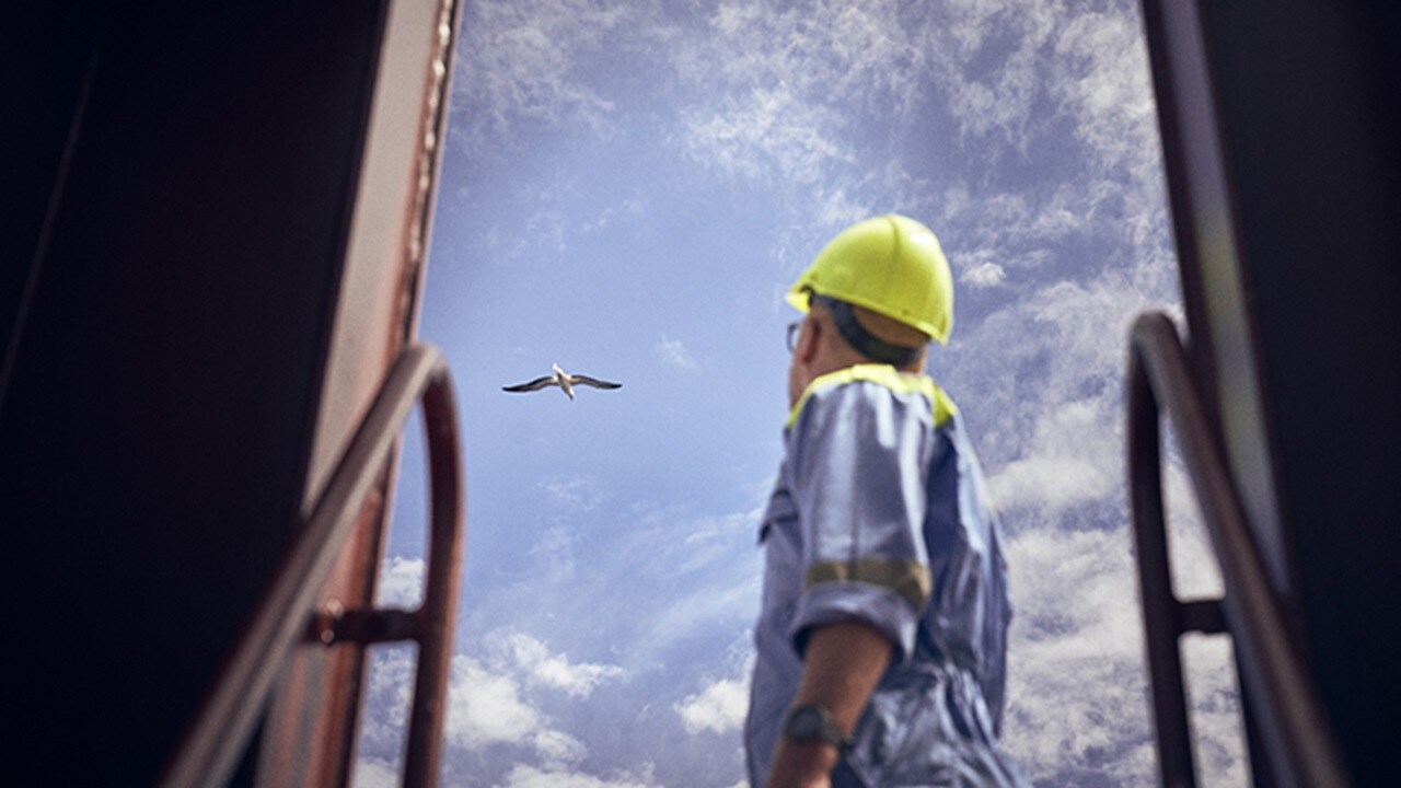 The employee gazes at the bird.