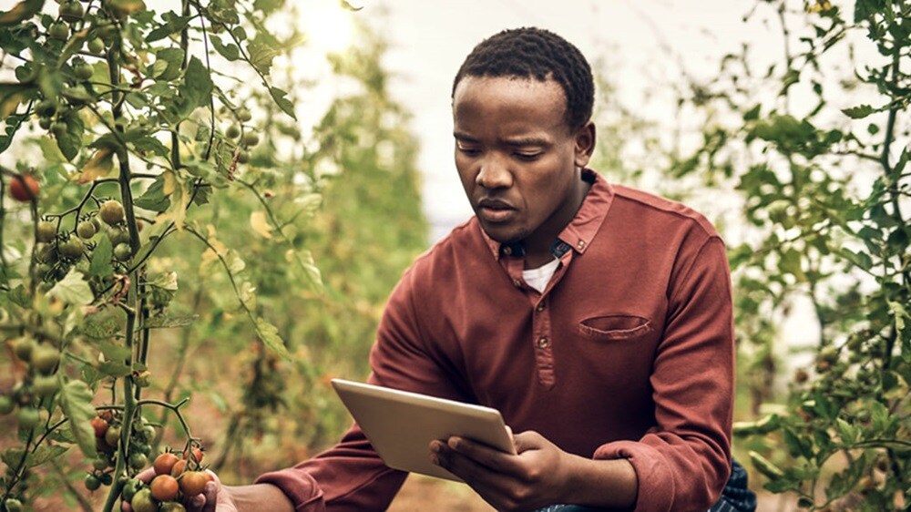 A man in a red shirt is in a field