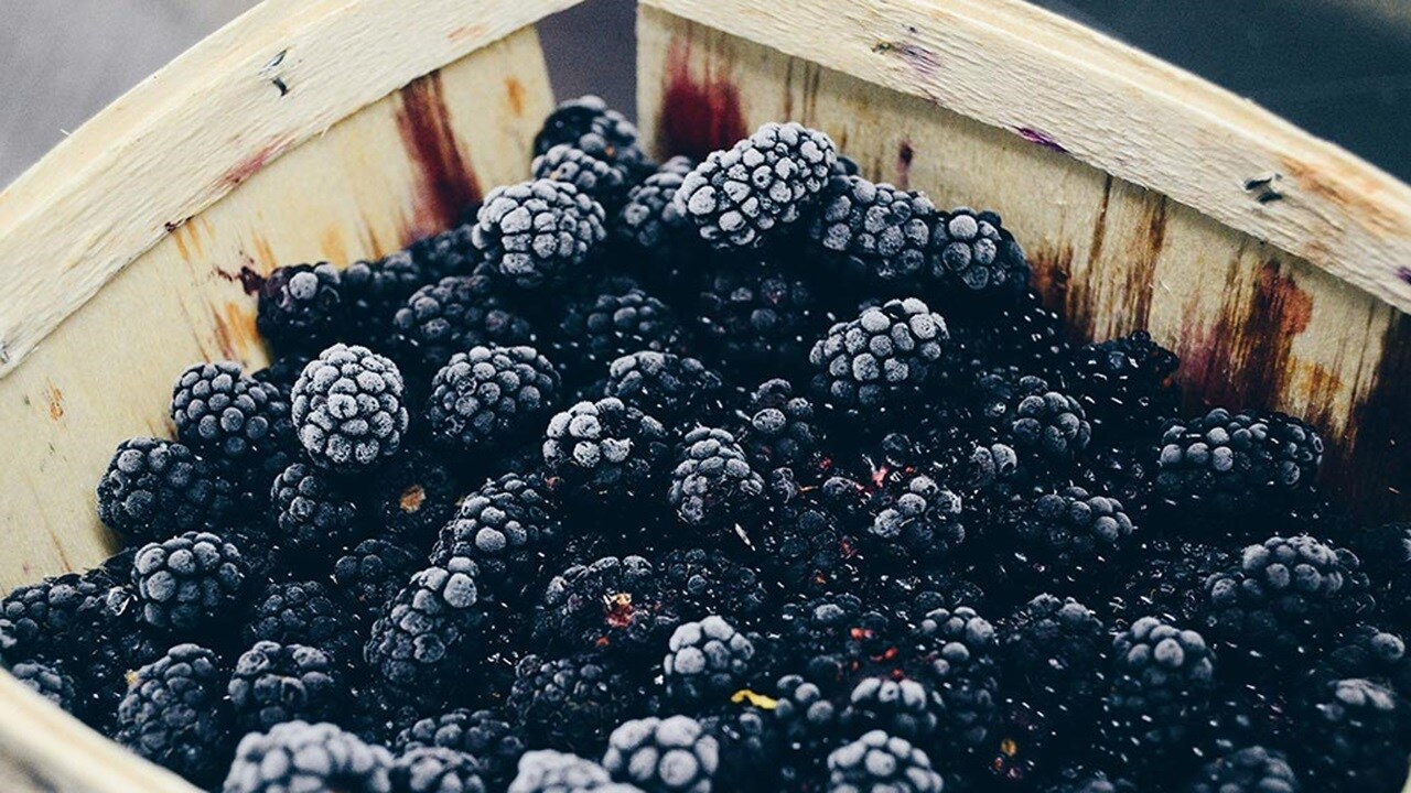 Blackberry fruits
