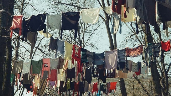 Clothes hanging from trees.