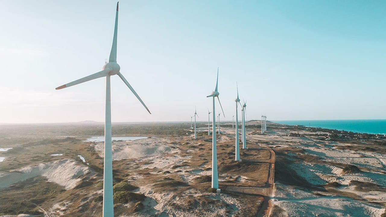 A field of wind turbines