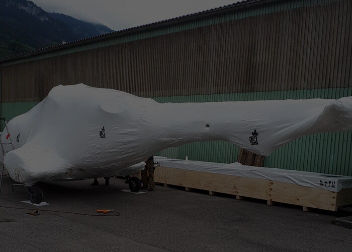 A big white creature draped with a tarp, creating a mysterious look.