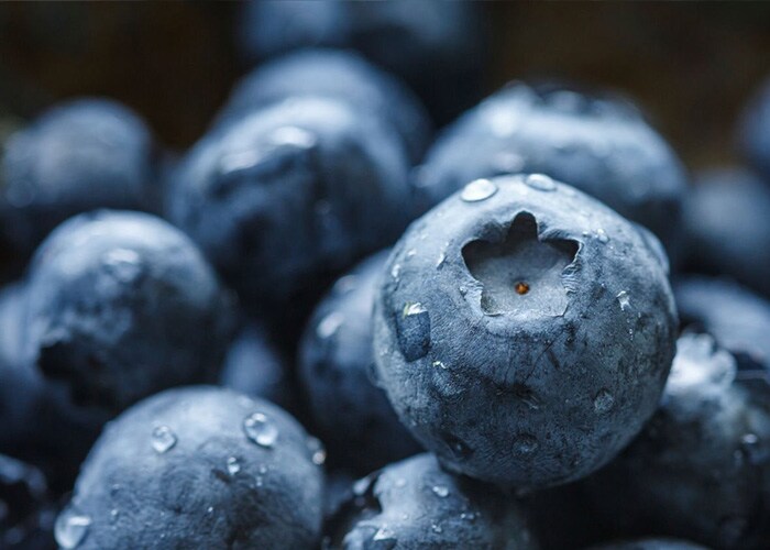 Transporte en cadena de frío - Primer plano de arándanos, una fruta perecedera.