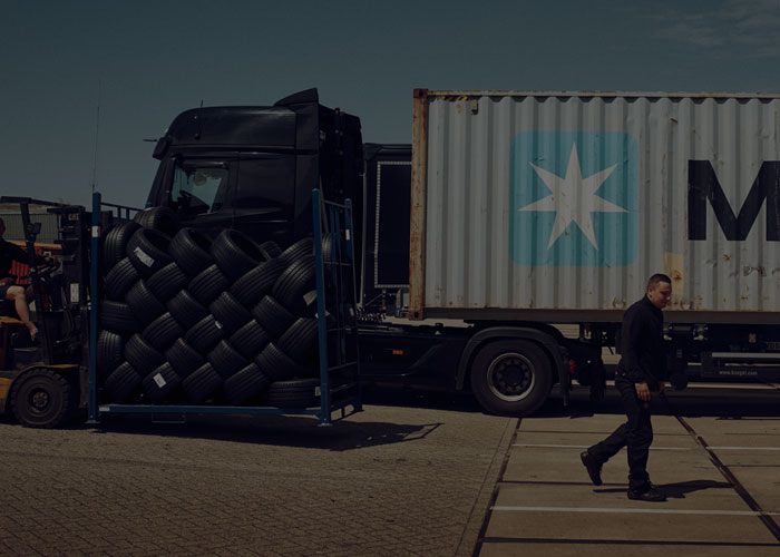 Local information in North America