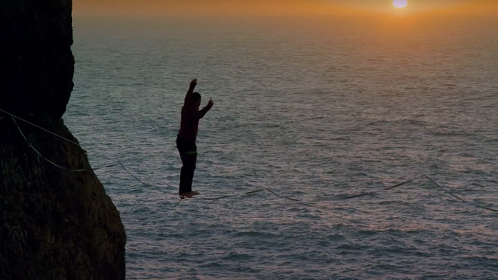 Maersk Customs Navigator