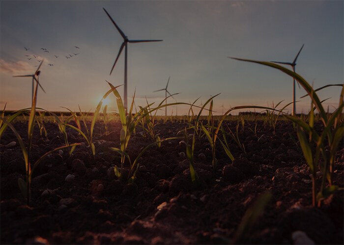 Close up of a field with wind power plants.
