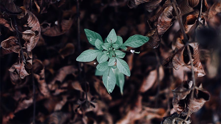 H&M Group reduces carbon footprint with Maersk ECO Delivery