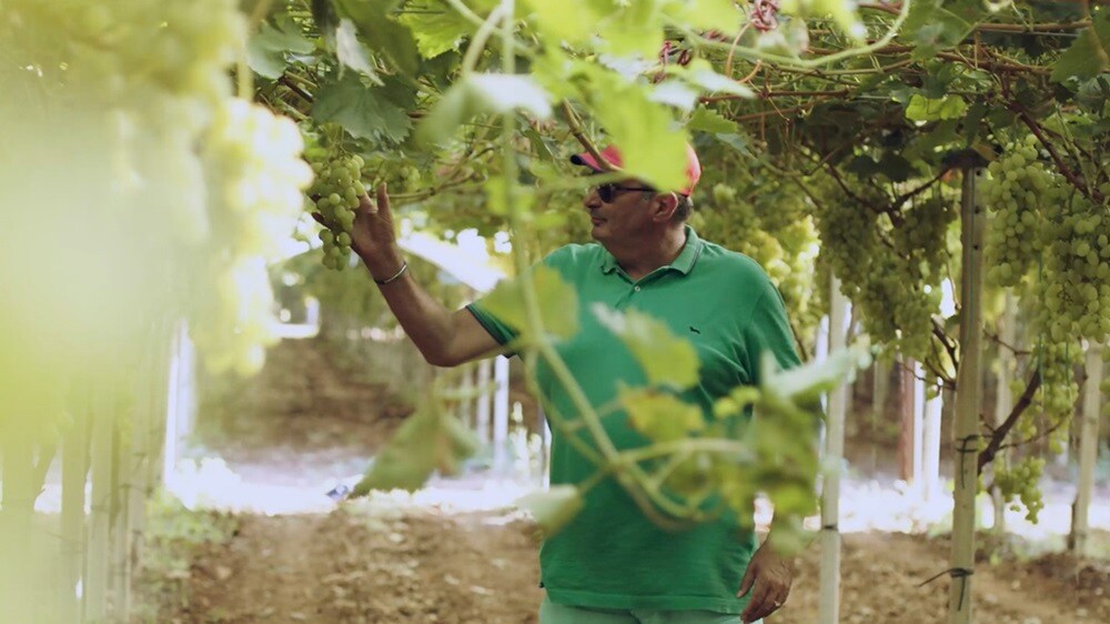 Going all the way for a partner who goes all the way