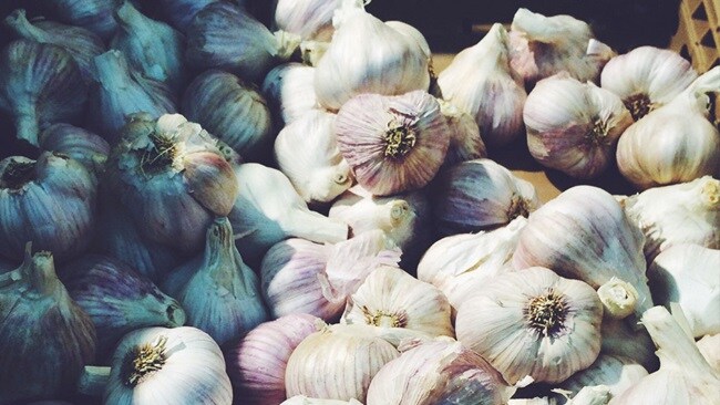 Flavouring the world through better logistics integration, garlic