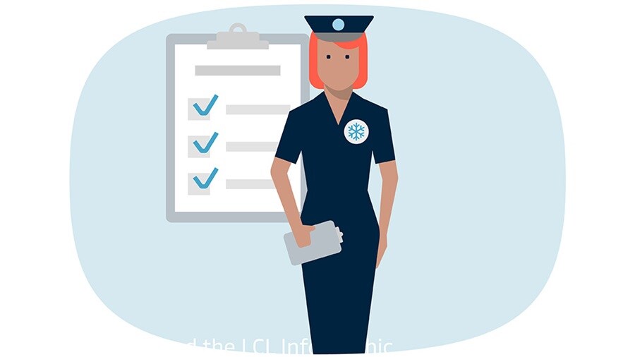 Illustration of a lady customs officer