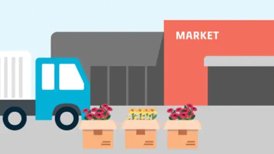Illustration of truck and a market