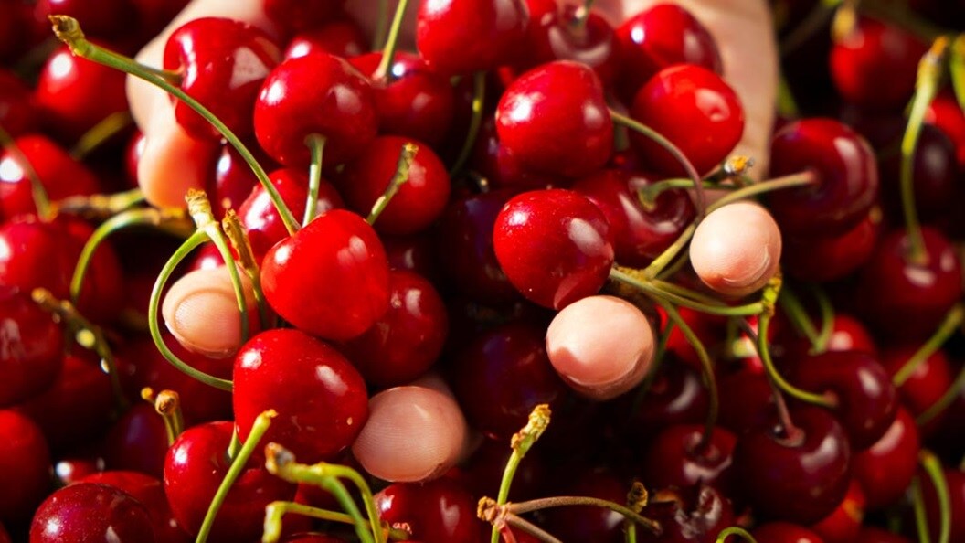 close up shot of cherries