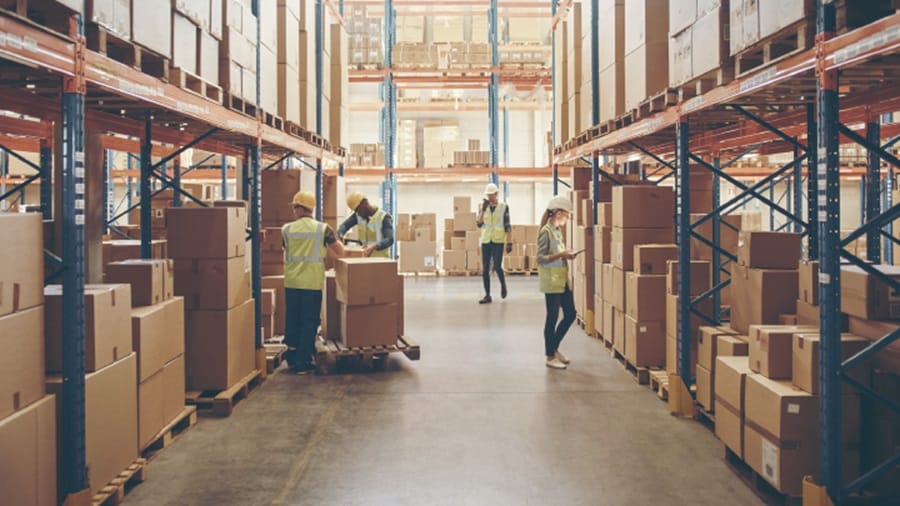 Three male and a female working in a warehouse