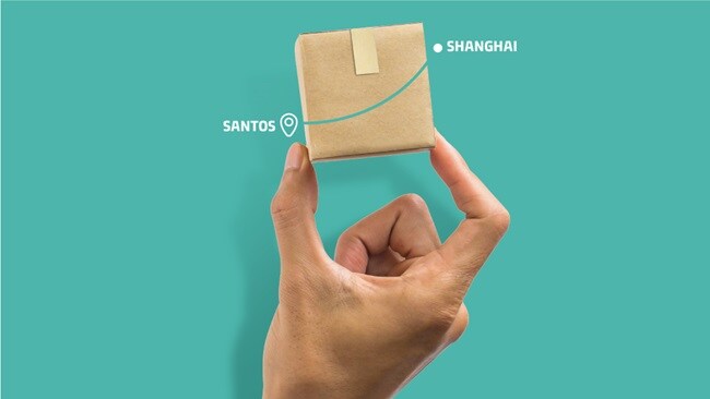 Shipping LCL cargo box From Shanghai to Santos