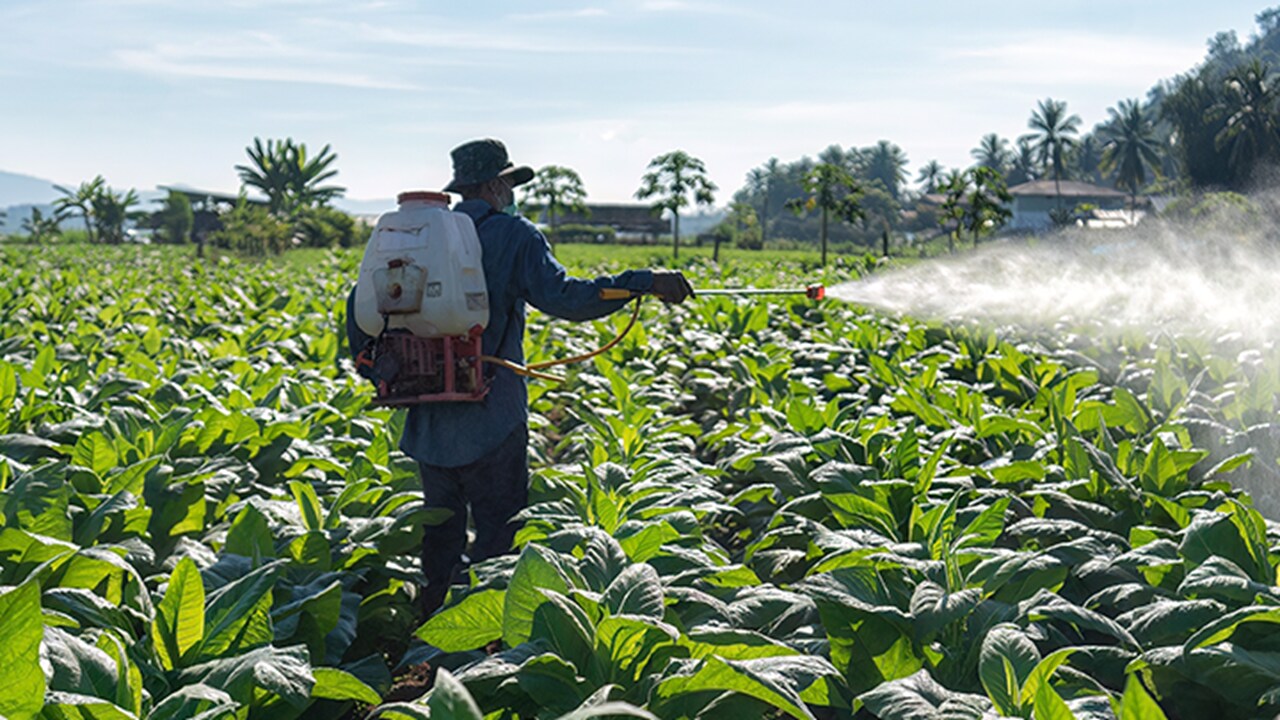 man spraying pesticide 