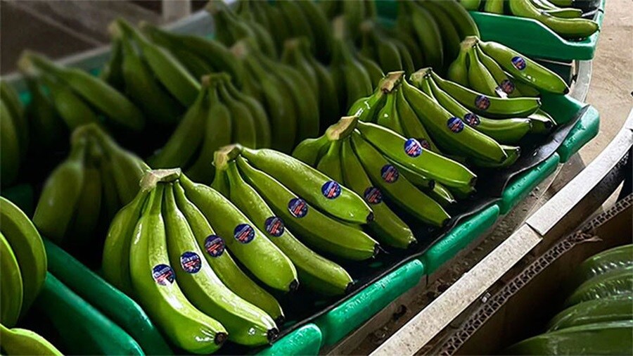 Strong partnerships create great solutions