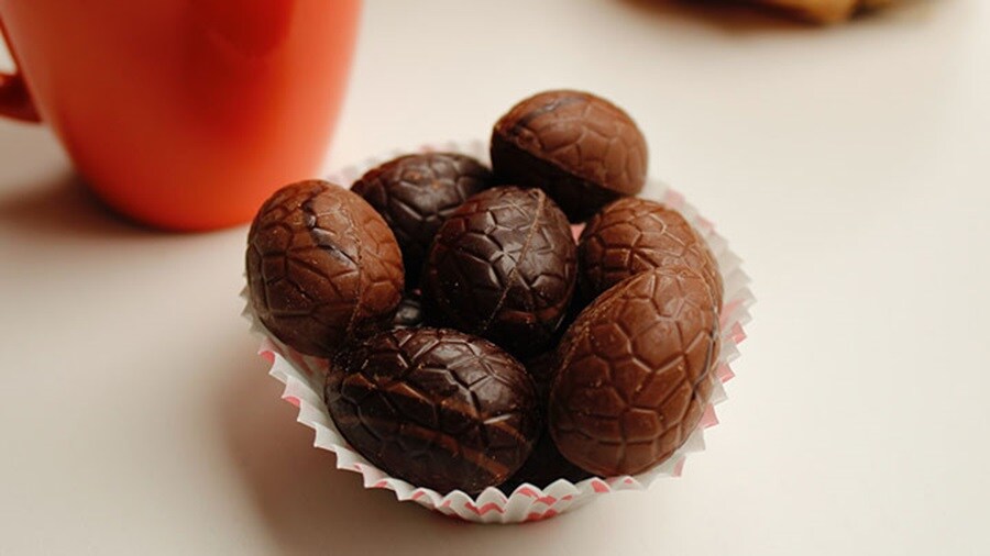 Mini chocolate eggs in cake nest