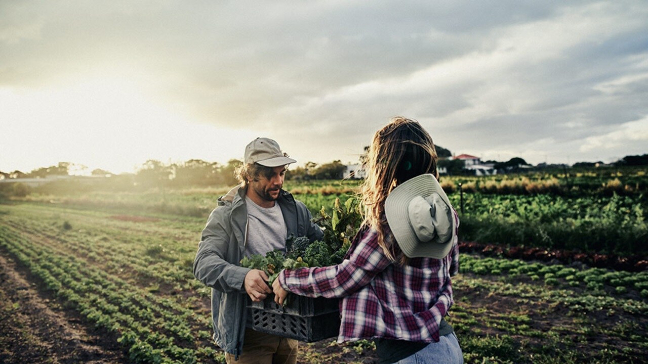 A Man and woman in the field