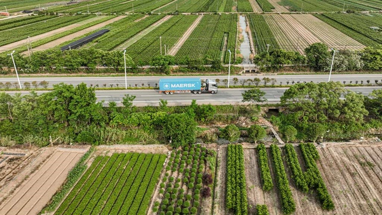Blue container on the road
