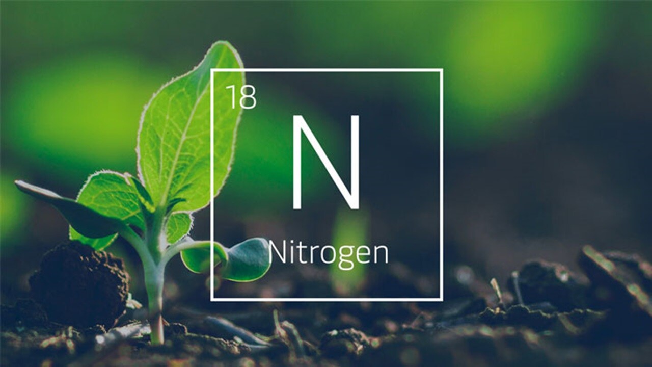 Agrochemicals – A green agricultural field and the N fertiliser ratio.
