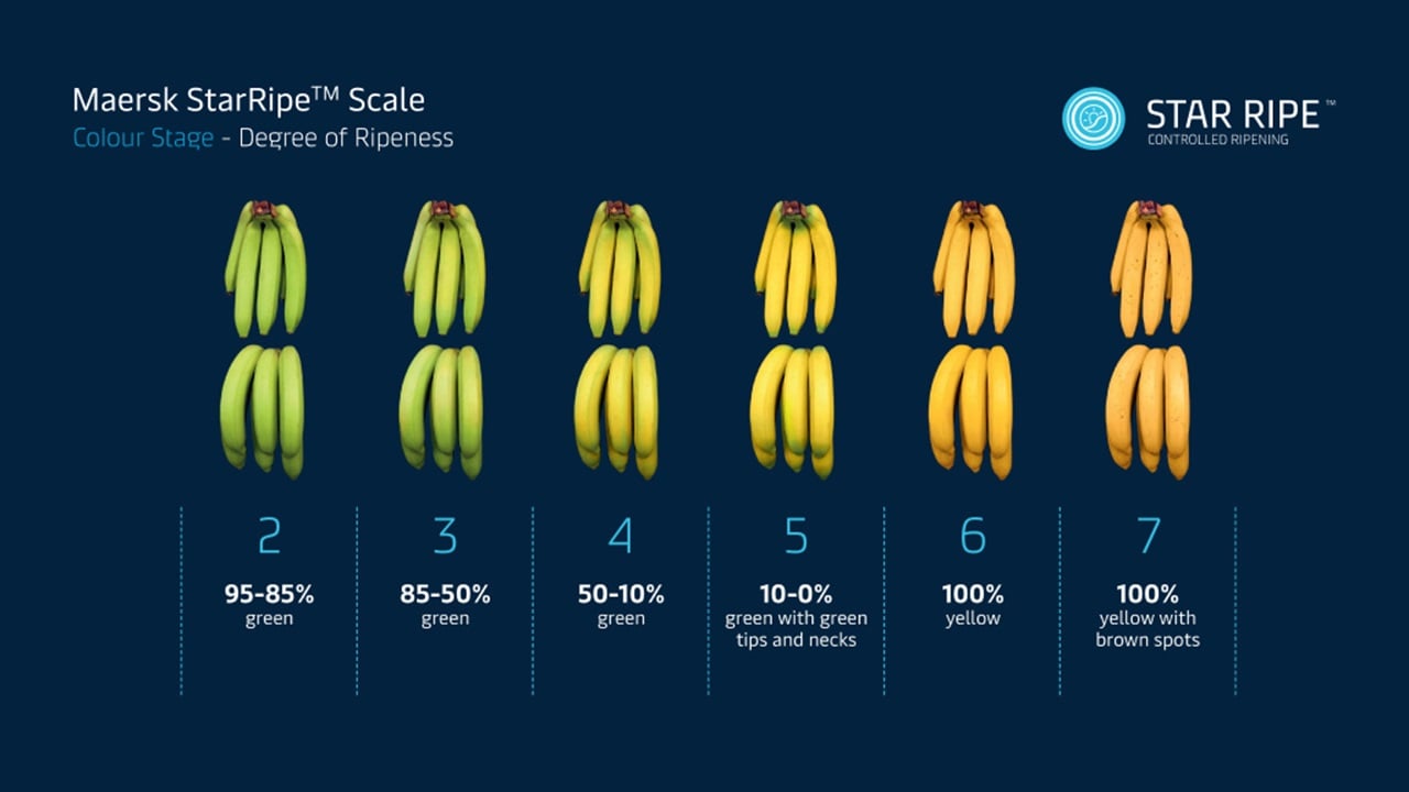 Maersk StarRipe banana colour scale showing stages of ripeness from green to yellow with brown spots