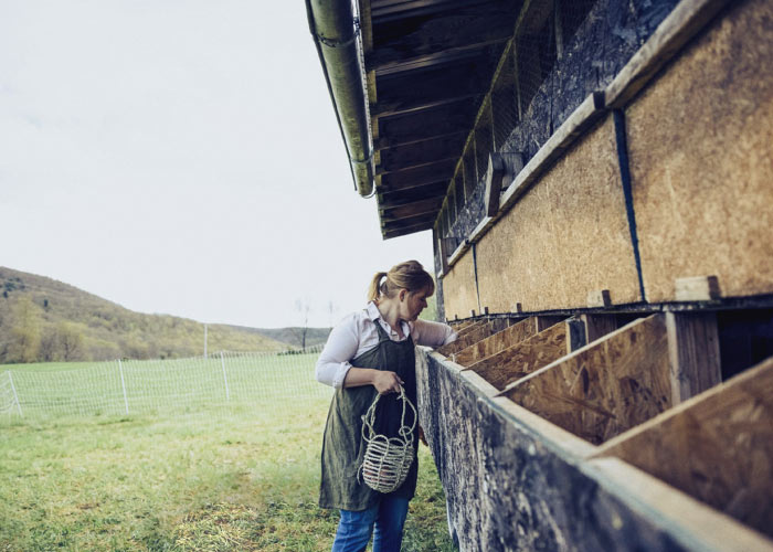 protein-dairy-banner