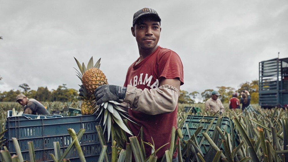 Cold Chain Logistics